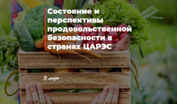 Состояние и перспективы продовольственной безопасности в странах ЦАРЭС