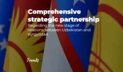 Comprehensive strategic partnership