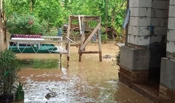 Ўзгидромет 9 та ҳудудда сел келиши хавфини эълон қилди