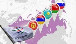 ВТО и ЕАЭС: перспективы сотрудничества