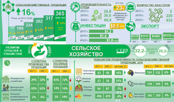 Infografika: 2017-2022 yillarda O‘zbekiston qishloq xo‘jaligi sohasining rivojlanishi