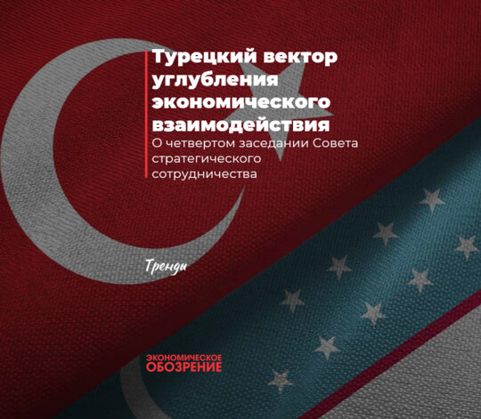 Турецкий вектор углубления экономического взаимодействия