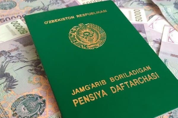 Пенсионный фонд в 2020 году зафиксировал рост получателей пенсий Пенсионный фонд в 2020 году зафиксировал рост получателей пенсий
