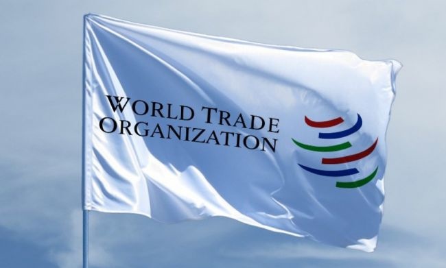 Перечень изъятий Казахстана в рамках членства в ВТО расширится с 3 января 2020 года