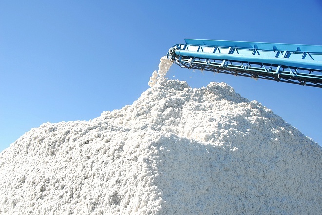 Узбекистан входит в пятёрку лидеров по качеству хлопка Узбекистан входит в пятёрку лидеров по качеству хлопка