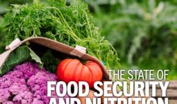 Положение дел в области продовольственной безопасности и питания в мире 2022