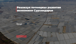 Реализуя потенциал развития экономики Сурхандарьи