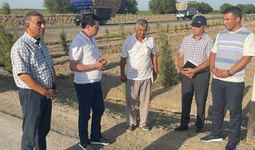 Sirdaryoliklar muammolari o‘z yechimini topmoqda