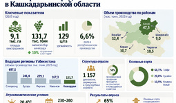 Оценен потенциал производства и экспорта винограда в Кашкадарьинской области