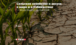 Сельское хозяйство и засуха в мире и в Узбекистане