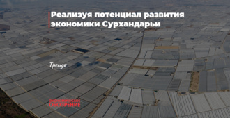 Реализуя потенциал развития экономики Сурхандарьи