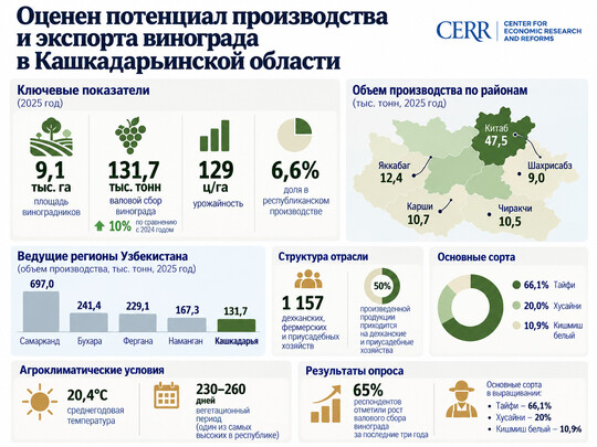 Оценен потенциал производства и экспорта винограда в Кашкадарьинской области