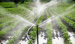 Для внедрения водосберегающих технологий орошения выделены субсидии