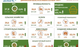 Infografika: Jizzax viloyatida 2025 yilning 9 oyida barqaror iqtisodiy o‘sish qayd etildi