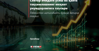 Сектор ичидаги ўсиш ва қайта тақсимлашнинг меҳнат унумдорлигига таъсири