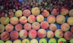 Вступили в силу новые правила ввоза в Россию овощей и фруктов