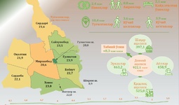 Sirdaryo viloyati demografik holati  2024 yil yanvar-iyun