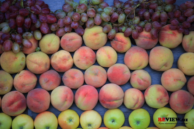 Вступили в силу новые правила ввоза в Россию овощей и фруктов Вступили в силу новые правила ввоза в Россию овощей и фруктов