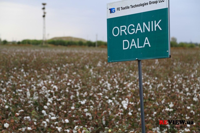Cotton Campaign готовит Соглашение, которое позволит узбекским кластерам сотрудничать с мировыми брендами