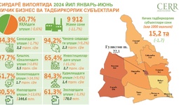 2024 йил январ-июнь ойларида Сирдарё вилоятида кичик бизнес субъектлари фаолияти таҳлил қилинди