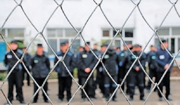 Президент Узбекистана помиловал 104 осужденных