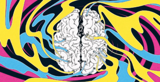 Сунъий интеллект кўпроқ маълумот, чиплар, макон, энергия ва сув талаб қилади