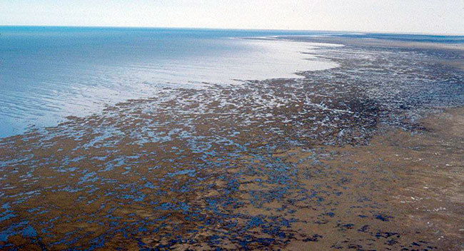 Возрождение Приаралья возможно только совместными усилиями Возрождение Приаралья возможно только совместными усилиями