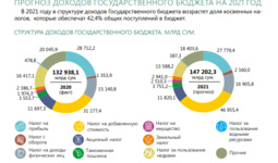 Опубликован Бюджет для граждан на 2021 год
