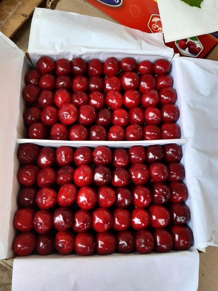 Ўзбек гилоси Россия бозорларида 7,3 АҚШ доллардан сотилмоқда Ўзбек гилоси Россия бозорларида 7,3 АҚШ доллардан сотилмоқда