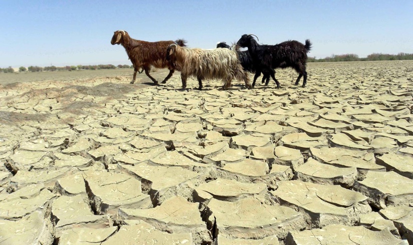 Узбекистан и Таджикистан получат $19 млн для адаптации к изменению климата