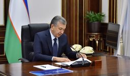 Шавкат Мирзиёев: Ҳар бир кечиккан йилимиз мамлакатимизни 10 йил орқага тортади