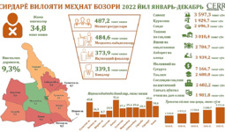 Сирдарё вилояти меҳнат бозорининг 2022 йил январь-декабрь ҳолати