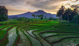 Как накормить десять миллиардов человек