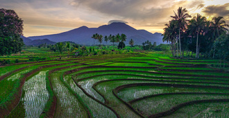 Как накормить десять миллиардов человек