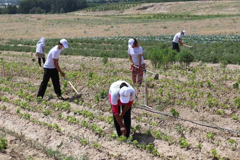 Фарғонада ёшларни иш билан таъминлаш масаласи қандай ҳал этилмоқда? Фарғонада ёшларни иш билан таъминлаш масаласи қандай ҳал этилмоқда?