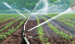 Сув танқислиги муаммолари