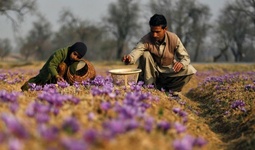 Всемирный банк начал консультации по экономическому развитию Афганистана