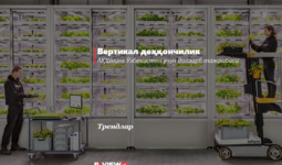 Вертикал деҳқончилик