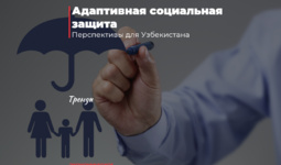 Адаптивная социальная защита