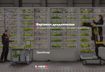 Вертикал деҳқончилик