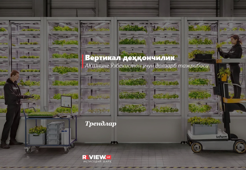 Вертикал деҳқончилик Вертикал деҳқончилик