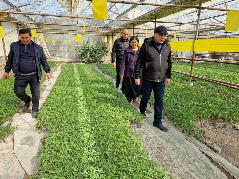 Obod va fayzli mahalla – yurt ko‘rki Obod va fayzli mahalla – yurt ko‘rki