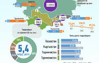 Инфографика: