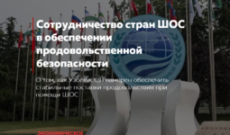 Сотрудничество стран ШОС в обеспечении продовольственной безопасности