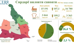 2023 йил якунлари бўйича  Сирдарё вилоятининг саноат соҳаси таҳлил қилинди