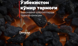 Ўзбекистон кўмир тармоғи