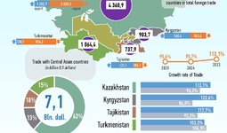 Infographics: Uzbekistan's Trade with Central Asian Countries in November 2025