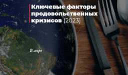 Ключевые факторы продовольственных кризисов (2023)