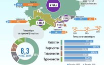 Инфографика: