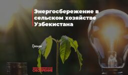 Энергосбережение в сельском хозяйстве Узбекистана